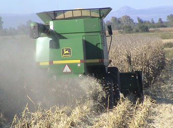 La combinanción de agromiquimicos es ideal para un cultivo sano